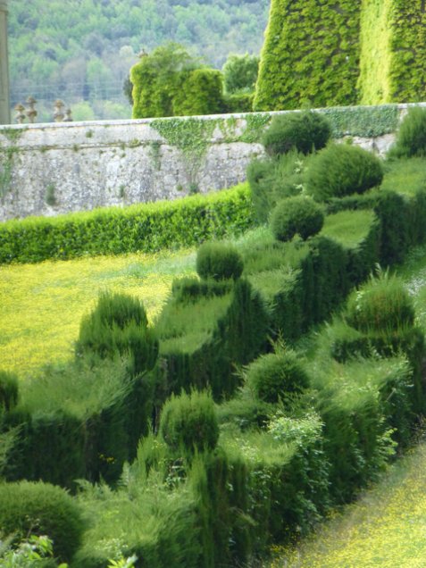 H is for hairy hedges